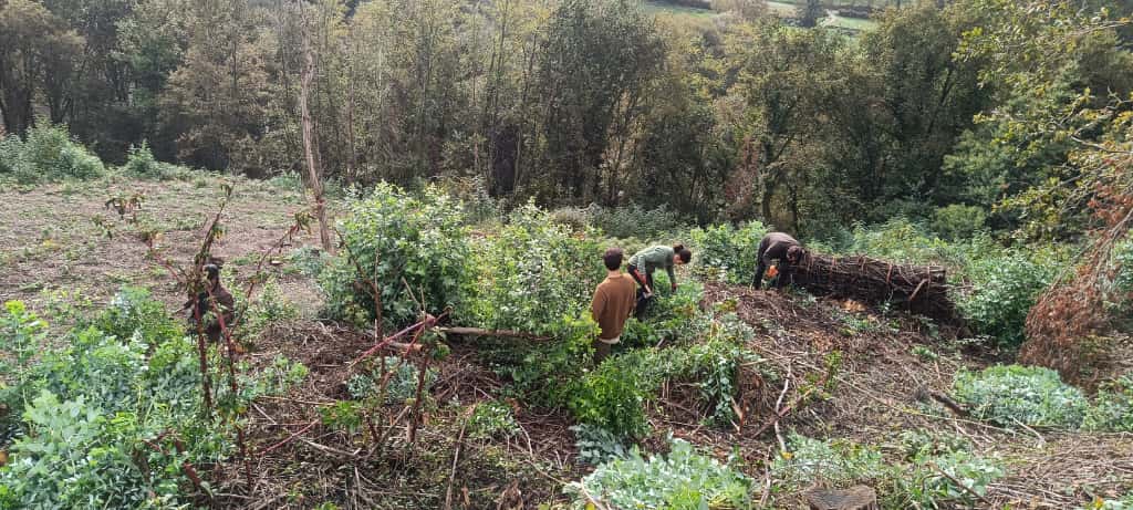 Voluntarios actuando